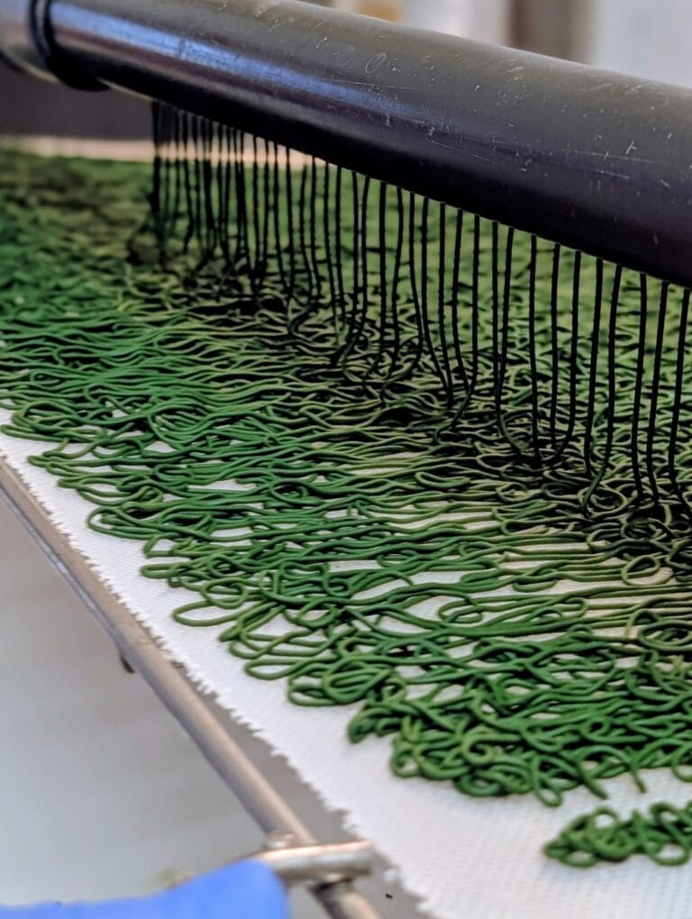 culture de la spiruline Les Fabuleuses Events