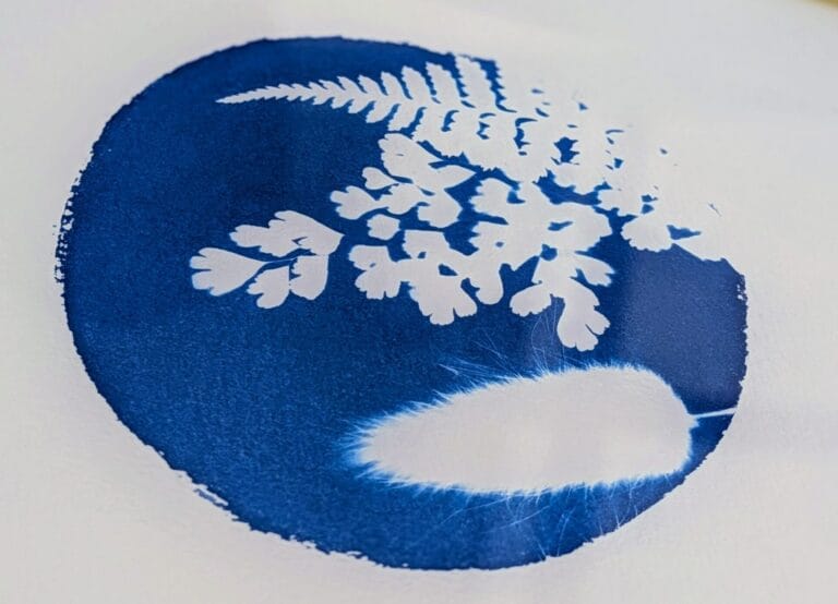 empreinte cyanotype Les Fabuleuses Events